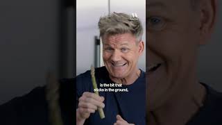 Szparagi z grilla — wideo